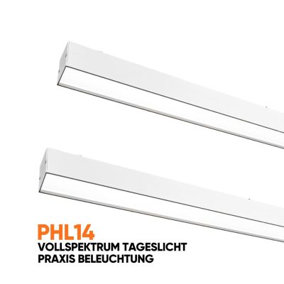 PHL14 Praxis beleuchtung dentled