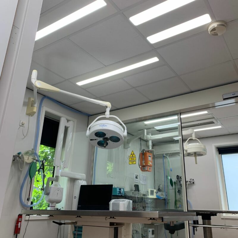 Praxisbeleuchtung LED Zalmhof Tierklinik
