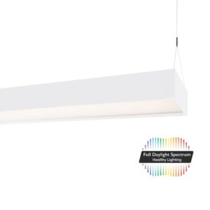 Die DentLed Dentallaborleuchte wurde speziell für den Einsatz im Dentallabor entwickelt.