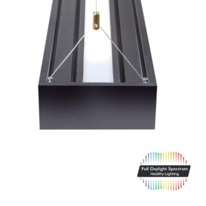 Die DentLed Dentallaborleuchte wurde speziell für den Einsatz im Dentallabor entwickelt.