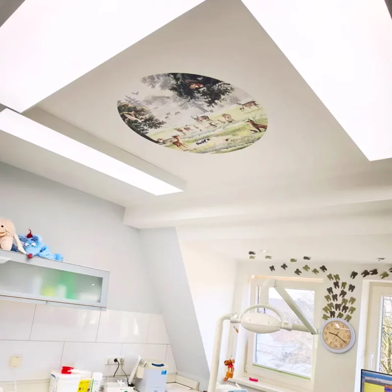 DL120 Vollspektrum-Tageslicht-LED-Panels in drei Behandlungsräumen der Zahnarztpraxis Wendland bei Dr. Christina Berger installiert, mit 5000K natürlichem Arbeitslicht und beruhigenden Deckenmotiven über dem Behandlungsstuhl.