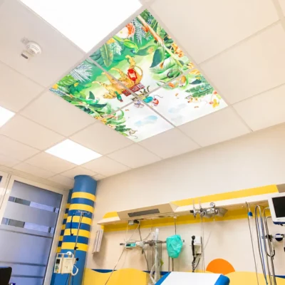 Maßgefertigte Dentled LED-Fotopaneele mit beruhigenden Pimpelmees-Naturmotiven, installiert auf einer Kinderstation eines Krankenhauses.